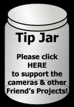 Tip Jar _.png