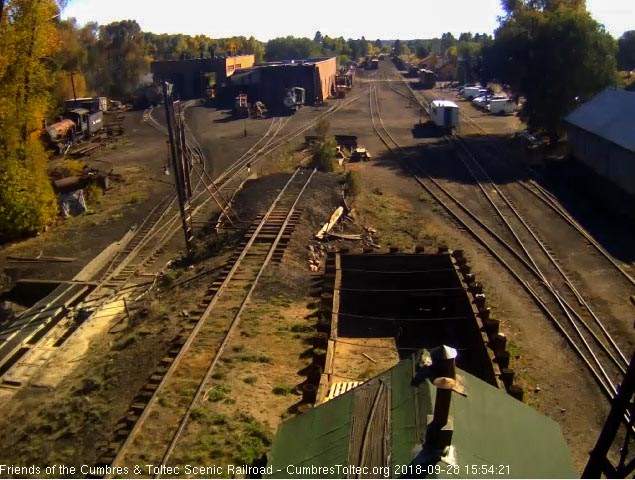 2018-09-28 Goose 5 crosses the access road.jpg