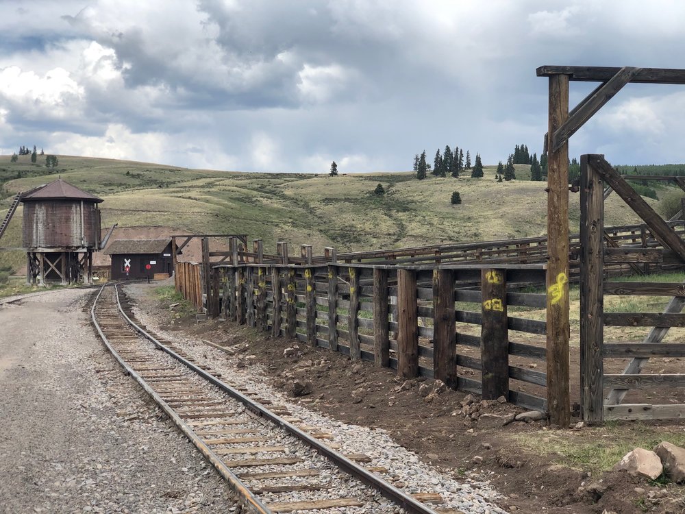 Osier cattle pen fence relocation.JPG