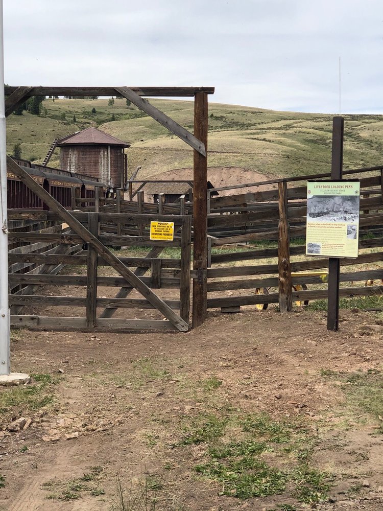 Shot of the stock pens with the train and marker.JPG