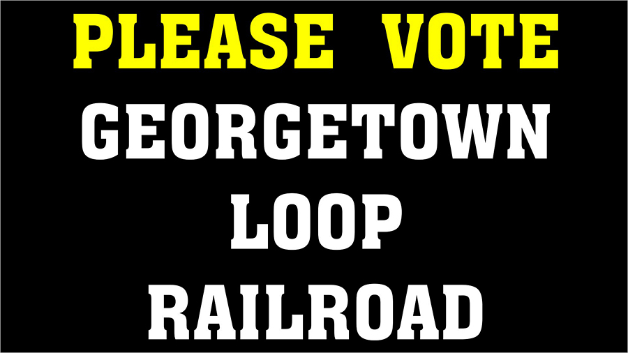 voteglrr0002thumbnail.jpg