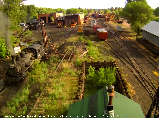 6.11.16 The late afternoon sun has come out and shines on the 463 as it backs to the house.jpg