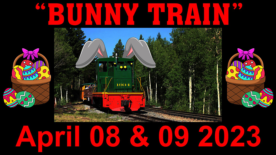 2BunnyTrainthumbnail.jpg